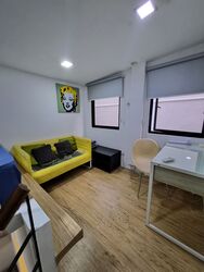 Emerald Hill Conservation Area (D9), Apartment #549739121